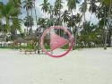 Dream of Zanzibar
